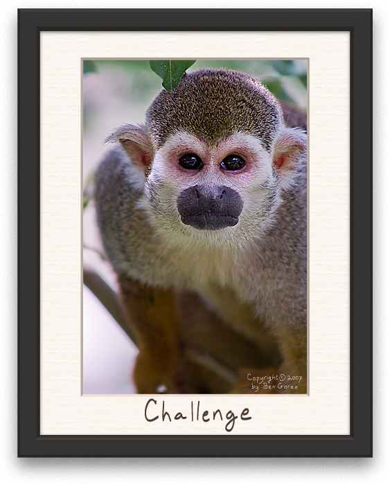 Challenge